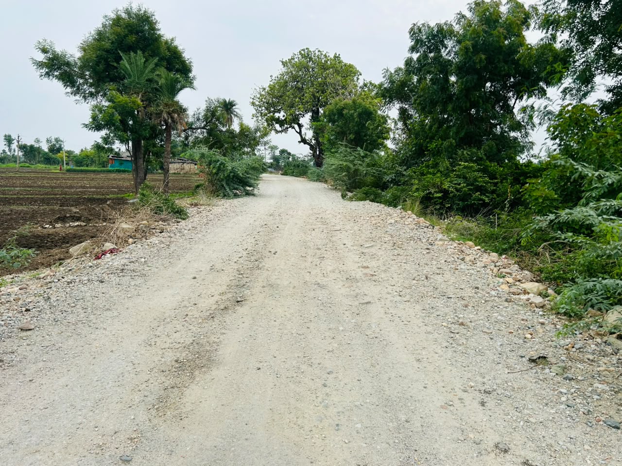 बरसों से पक्की सड़क का इंतजार - दो पाटों में उलझ रही सड़क